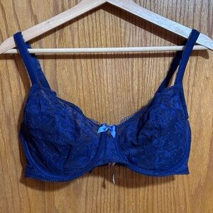 Victoria’s Secret Body by Victoria Demi 36 DDD Elegant Blue Lace Bra